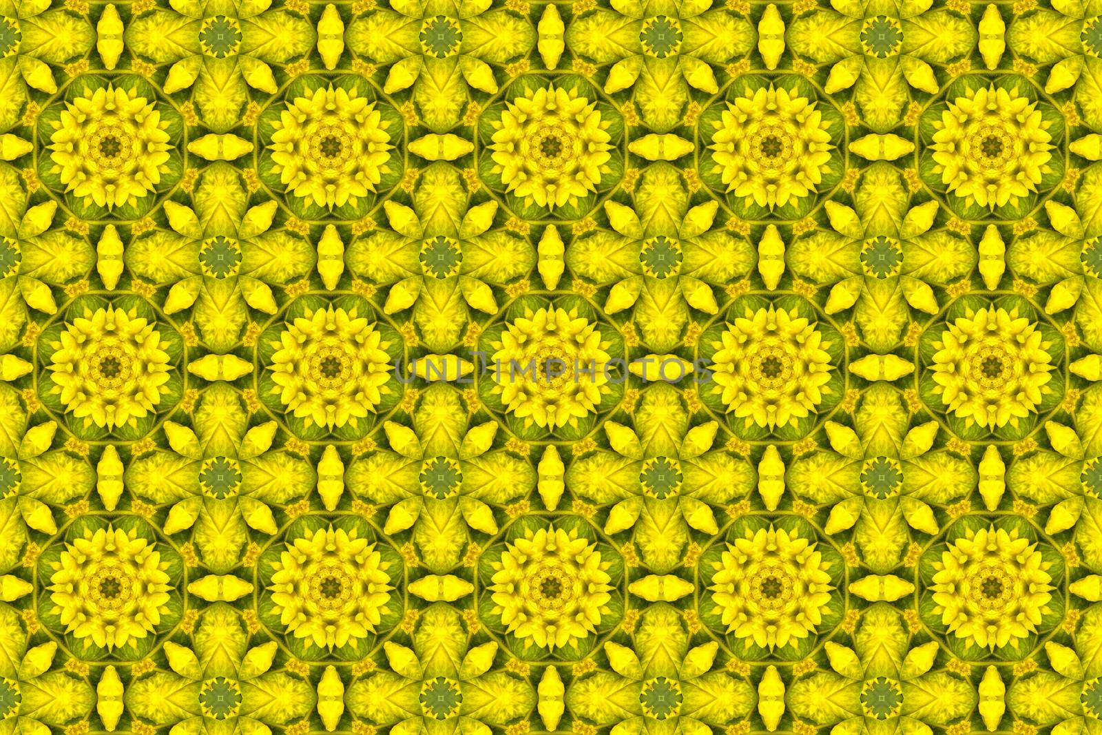 kaleidoscopic floral pattern, abstract background for design