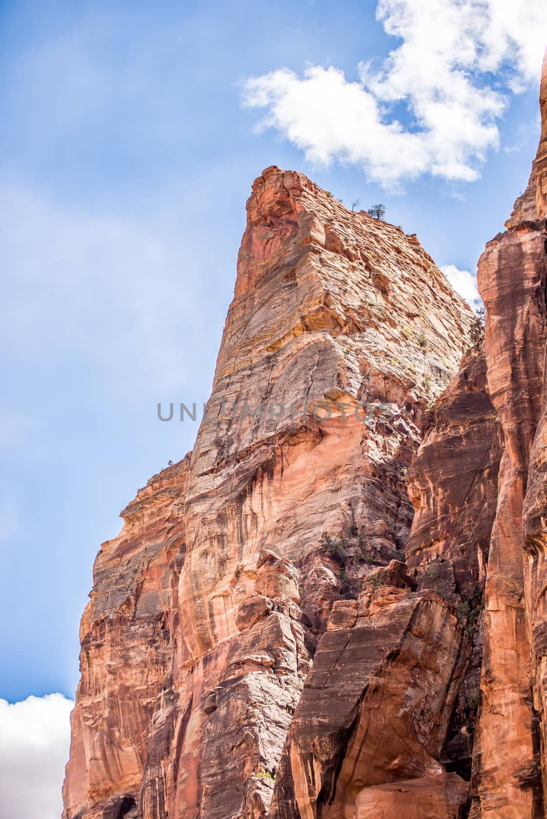 Zion Canyon National Park Utah