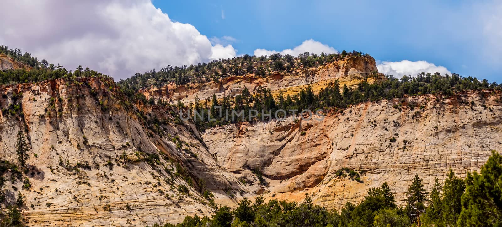 Zion Canyon National Park Utah by digidreamgrafix