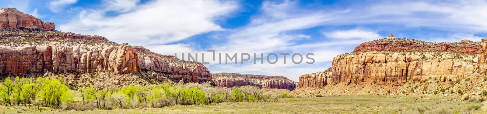  views of Canyonlands National Park by digidreamgrafix