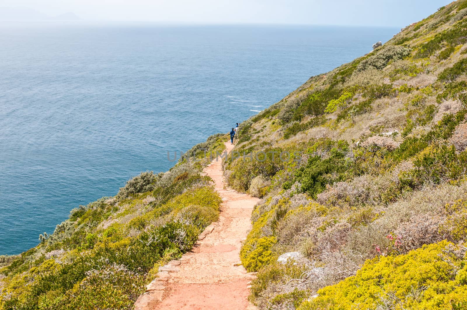 CAPE TOWN, SOUTH AFRICA - DECEMBER 12, 2014:  Trail from old lighthouse to the viewpoint above new lighthouse at Dias Point in Cape Point in the Table Mountain National Park.