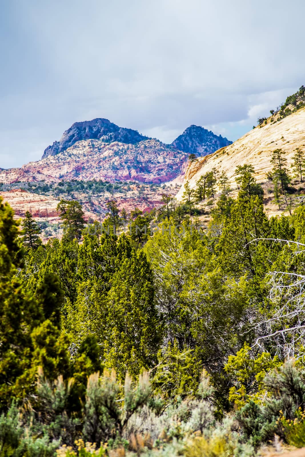 Zion Canyon National Park Utah