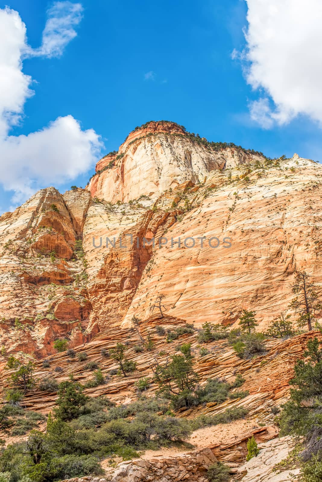 Zion Canyon National Park Utah