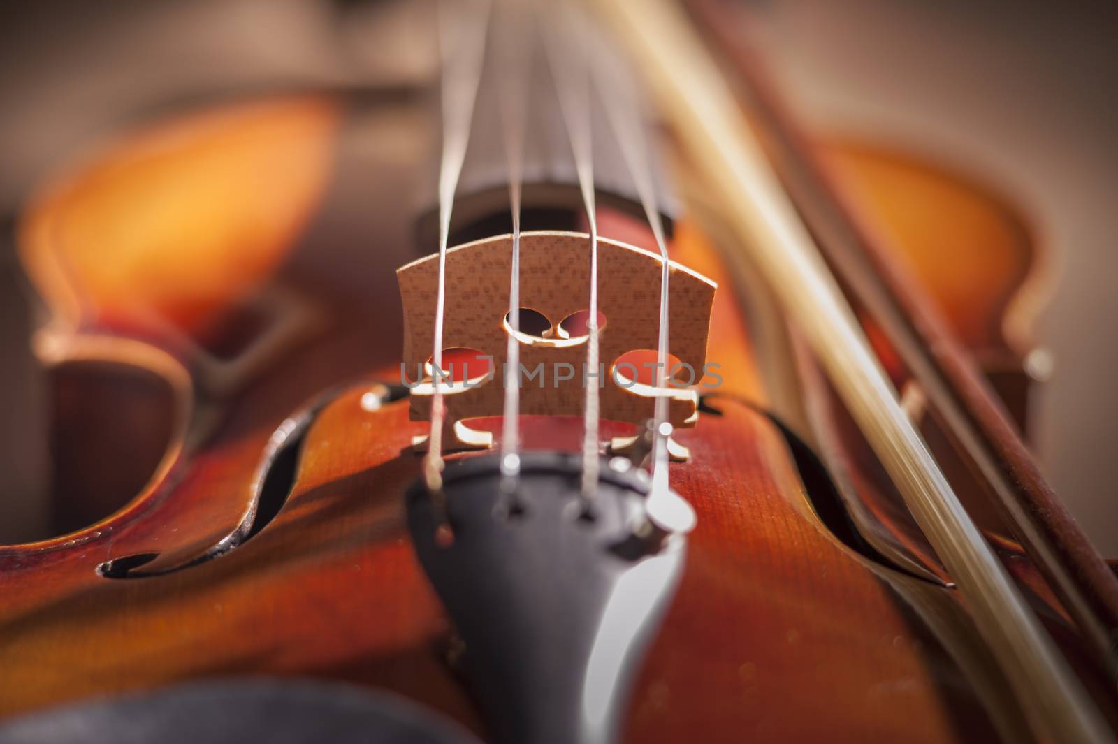 Close up of violin bridge by f/2sumicron