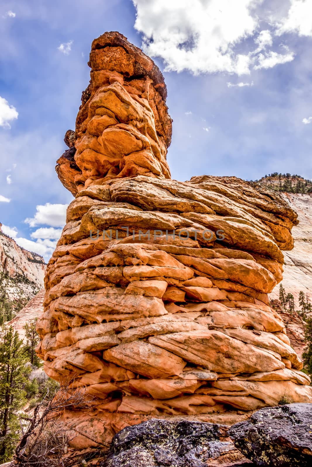 Zion Canyon National Park Utah