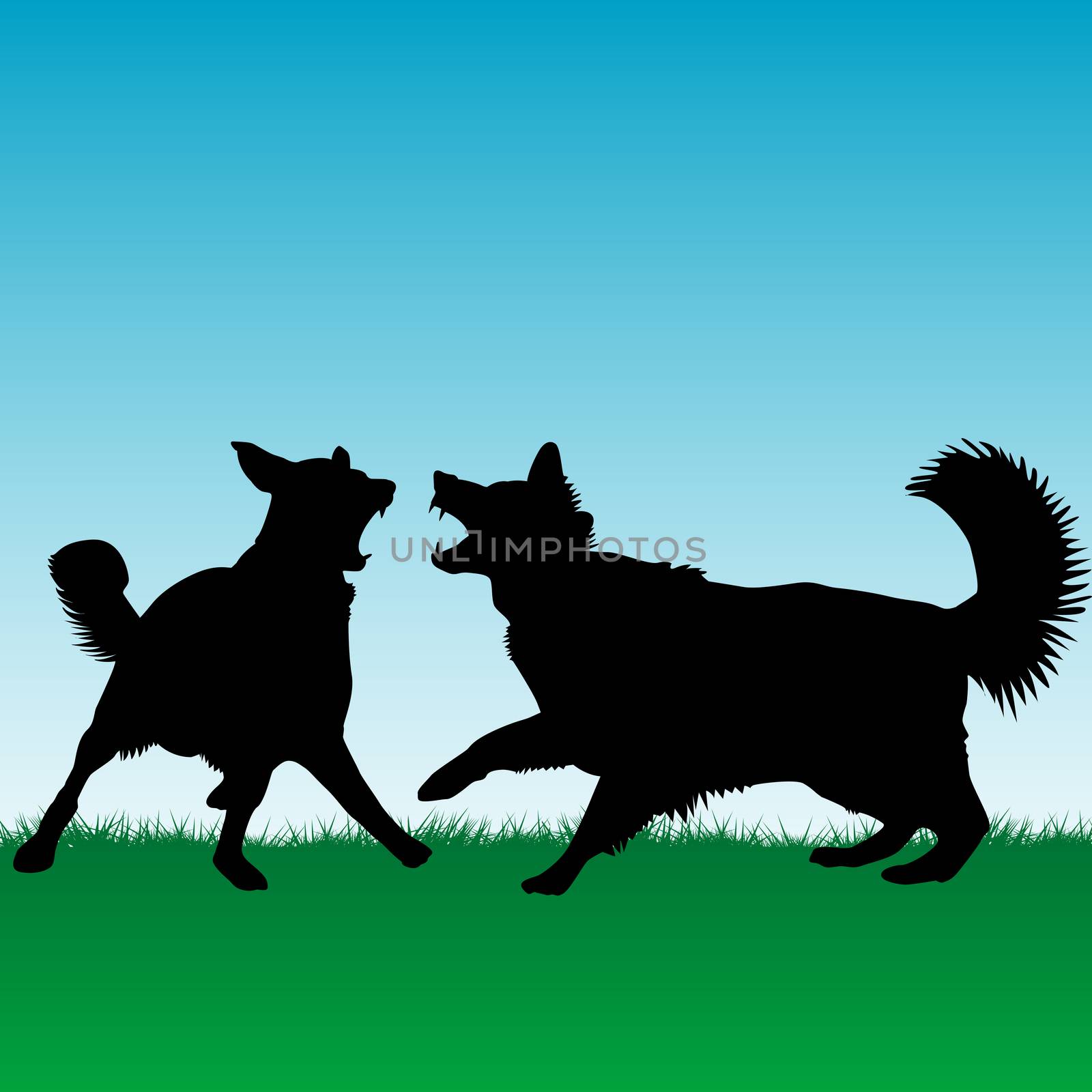 Dogs fighting or playing outdoors