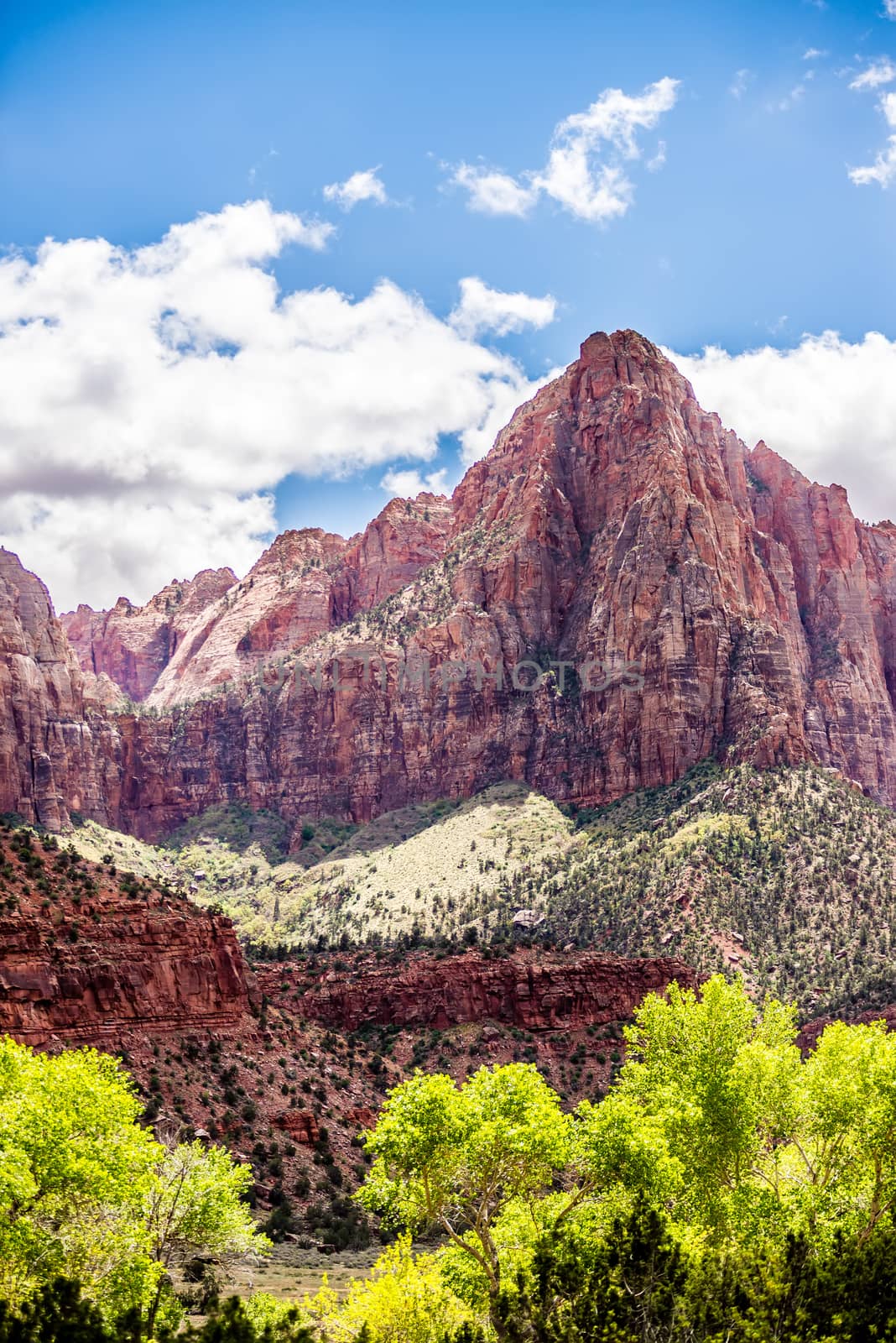 Zion Canyon National Park Utah