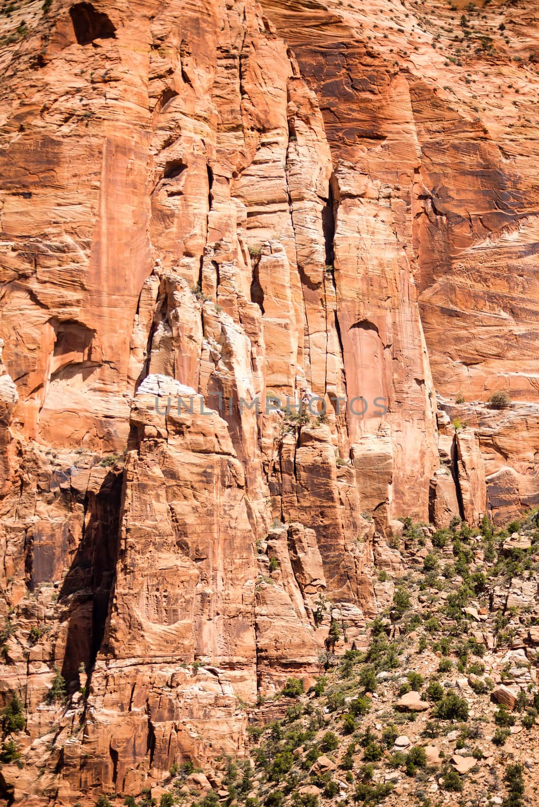 Zion Canyon National Park Utah