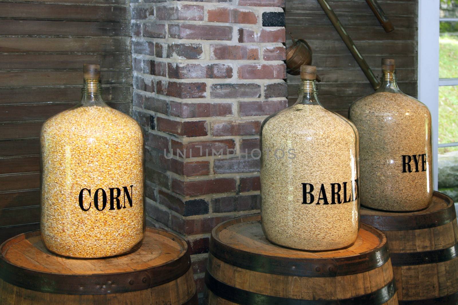 Rye, corn and barley stored in glass containers. by jimmartin