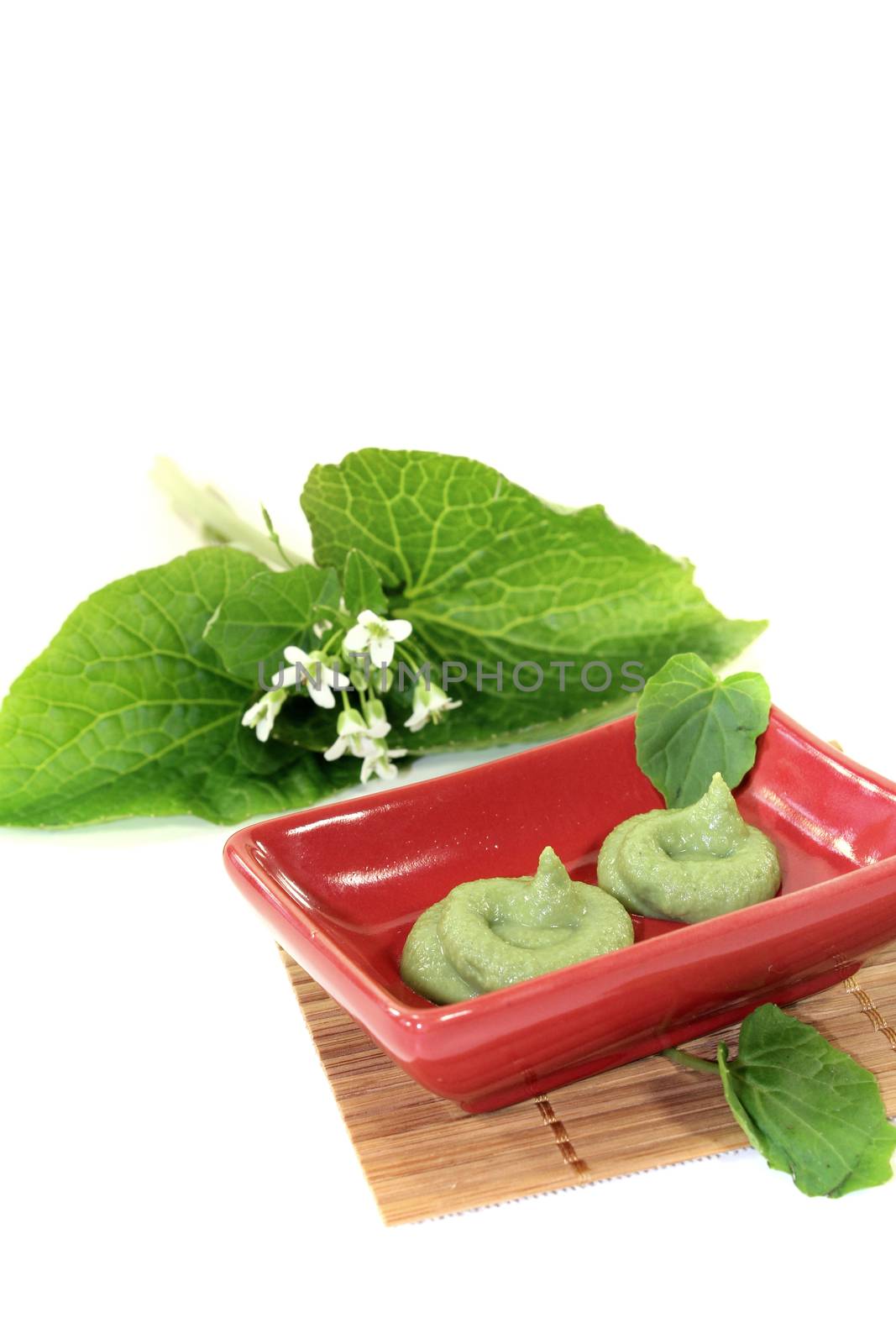 fresh spicy Wasabi with leaf and flower in a red bowl