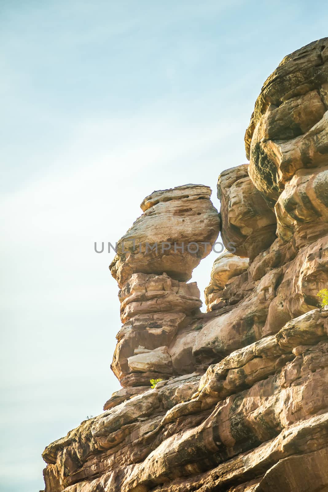 Arches National Park  Moab  Utah  USA