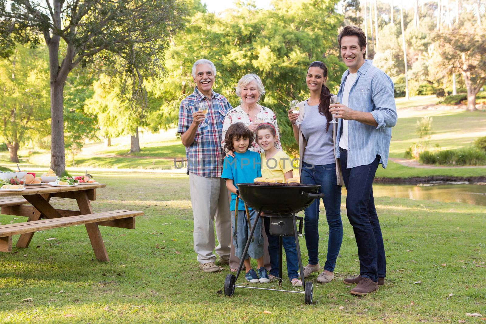Extended family having a barbecue by Wavebreakmedia