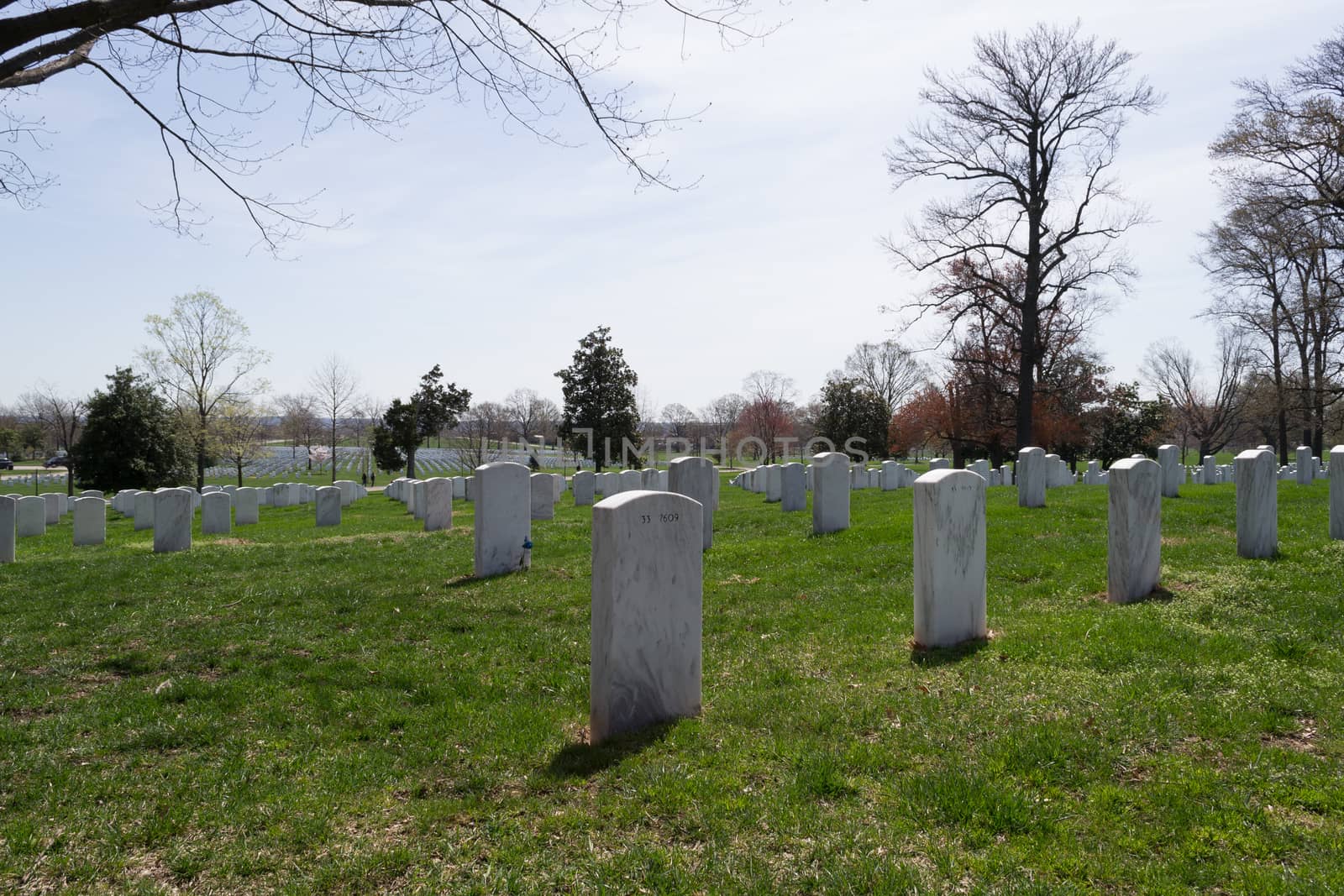 The Arlington Cemetery is the US military cemetery in which soldiers who died in national conflicts since the Civil War are Buried.