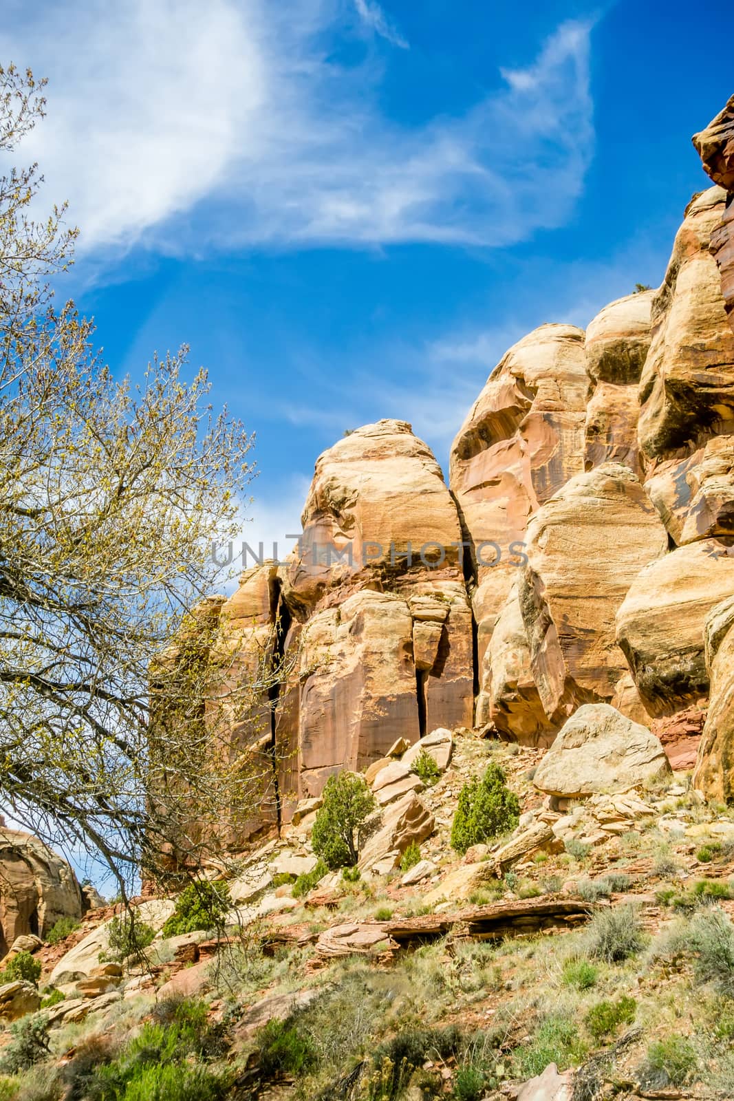  views of Canyonlands National Park