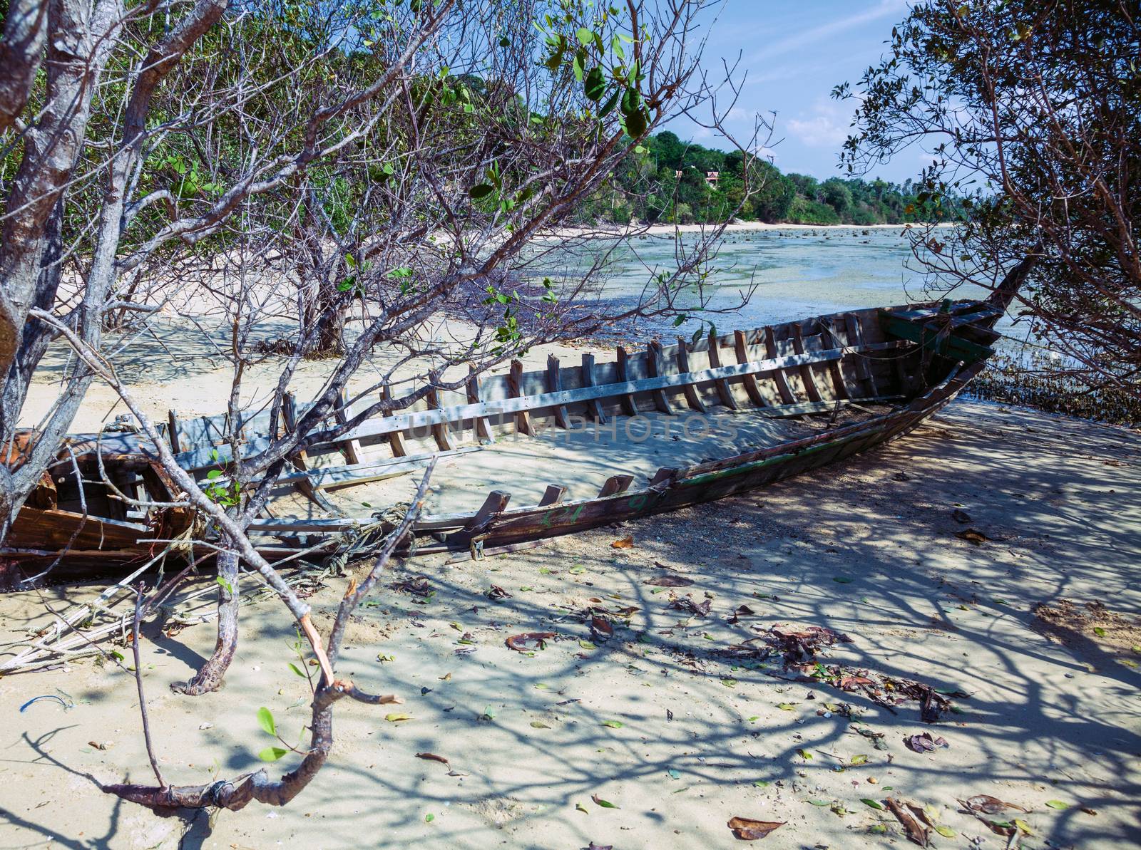 skeleton boat thrown into the bushes on the coast