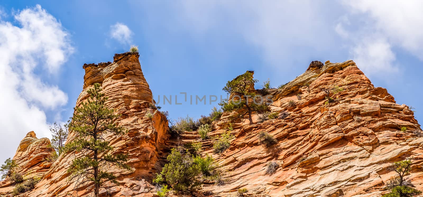 Zion Canyon National Park Utah