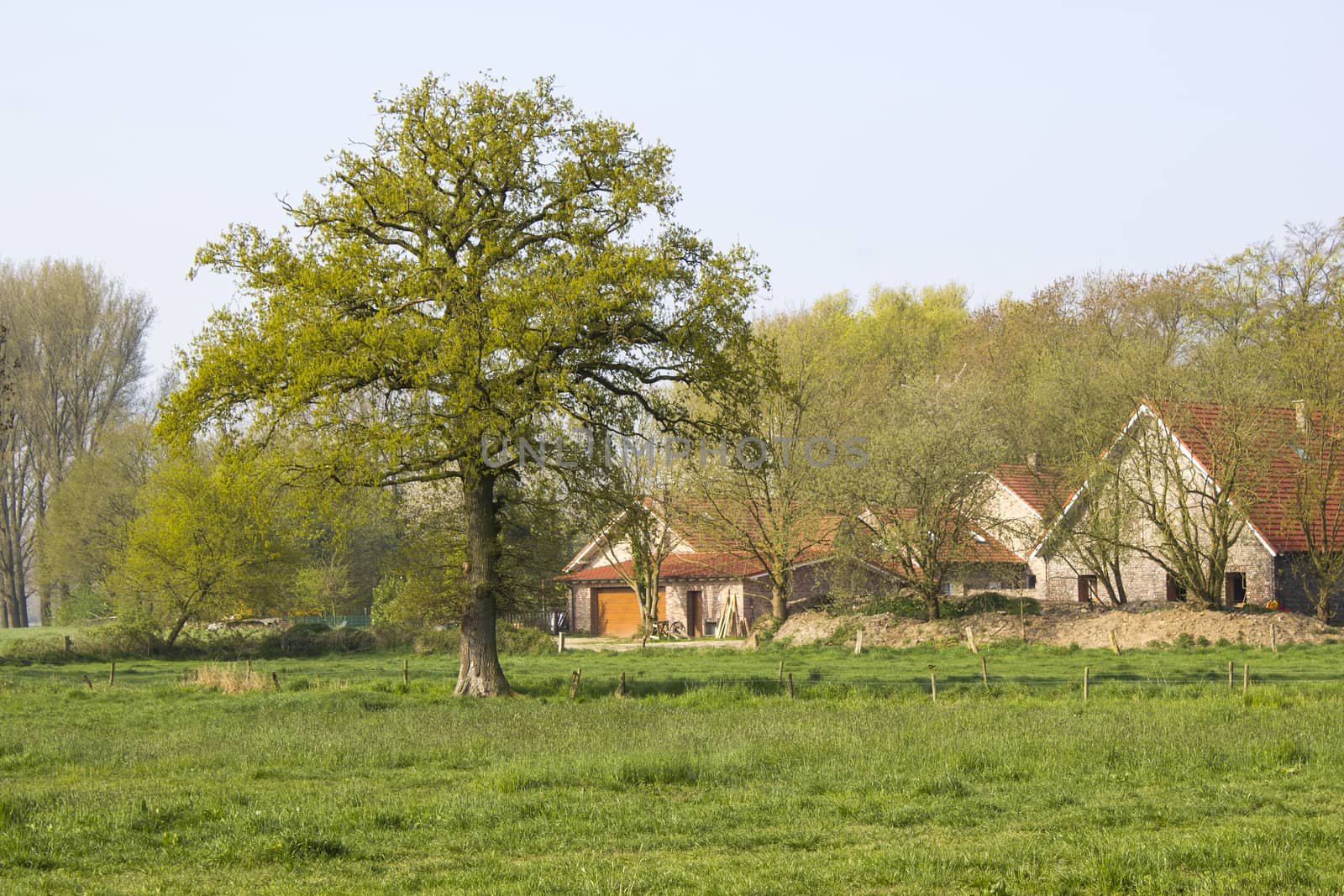 German countryside landscape by miradrozdowski