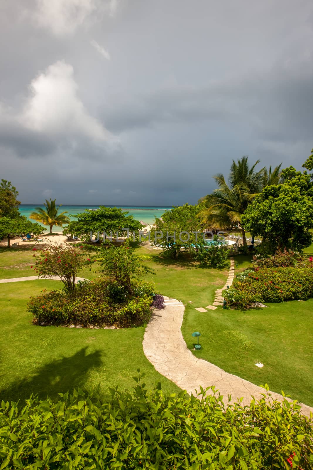 A tropical garden with flowers and palm trees overlooking the ocean with  gray clouds