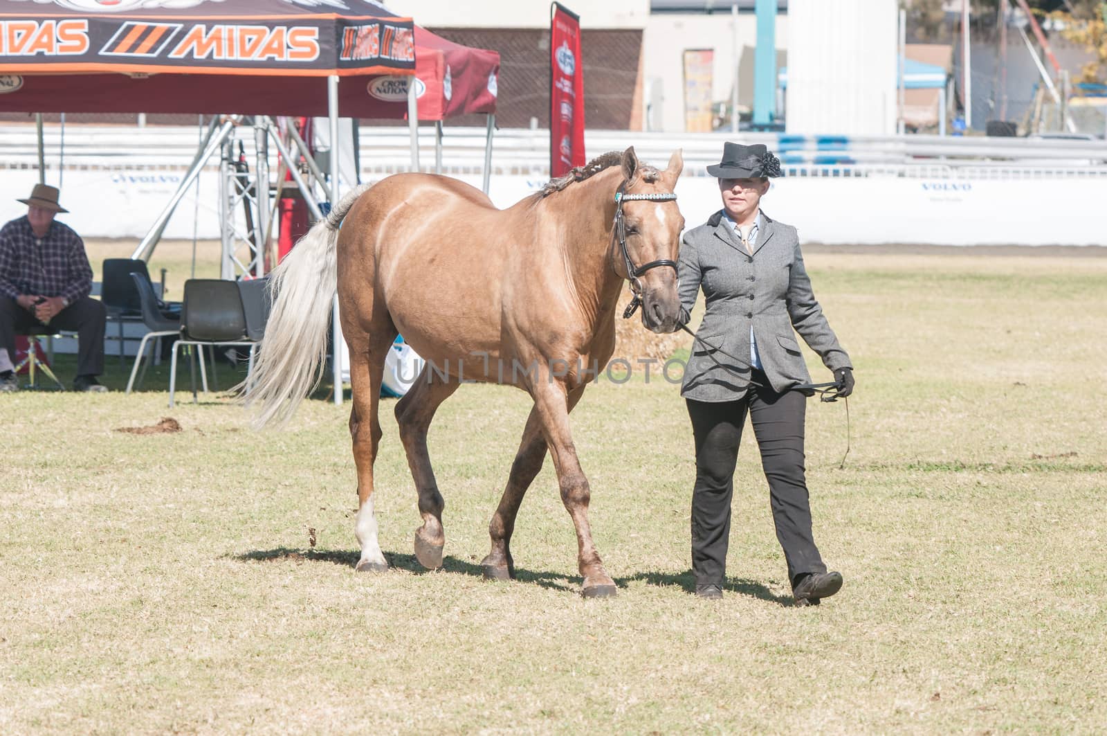 BLOEMFONTEIN, SOUTH AFRICA - APRIL 28, 2015: Rider and horse at the South African National Championships