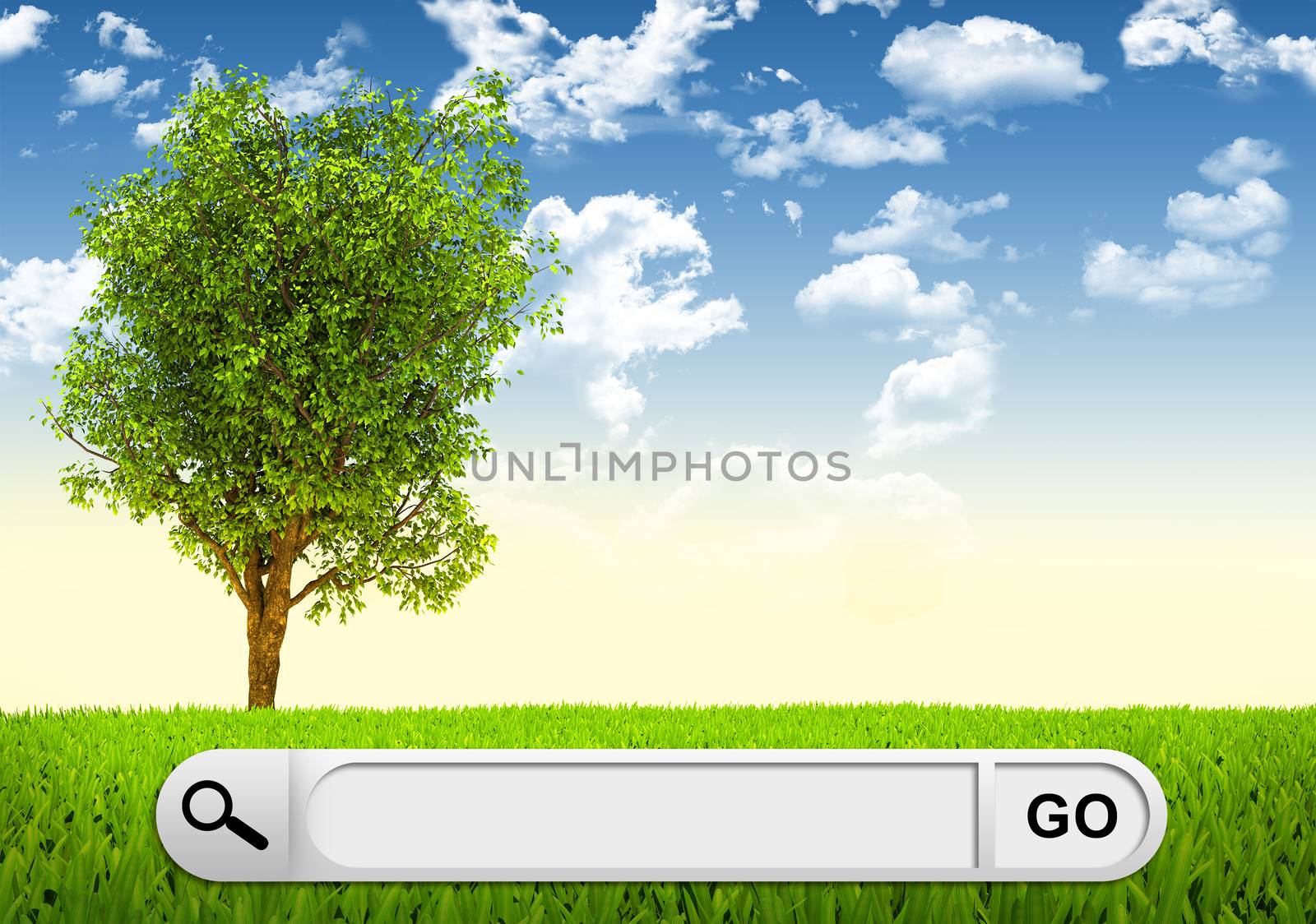 Grass field, tree and sky with search field