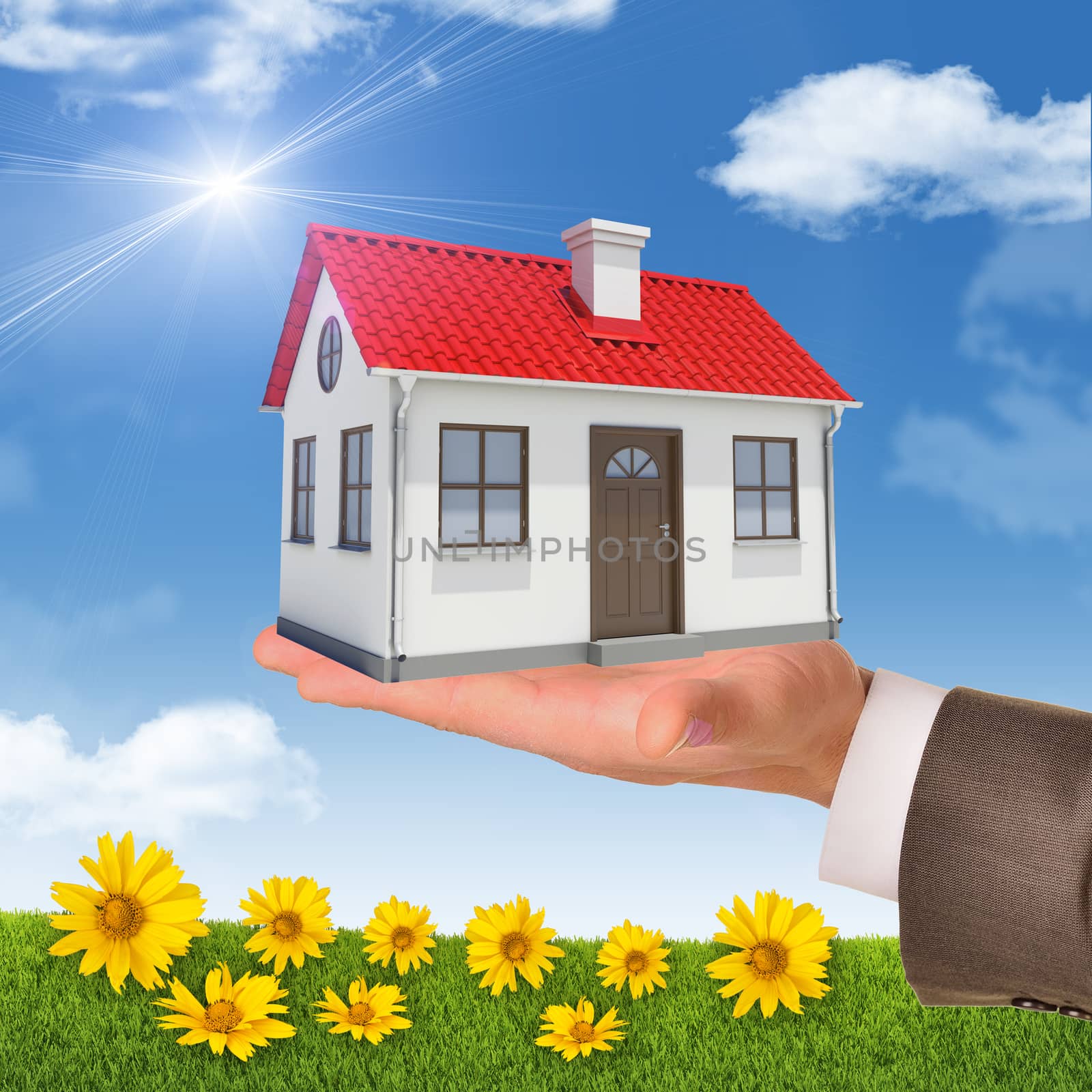 House in mans hand on nature background with flowers