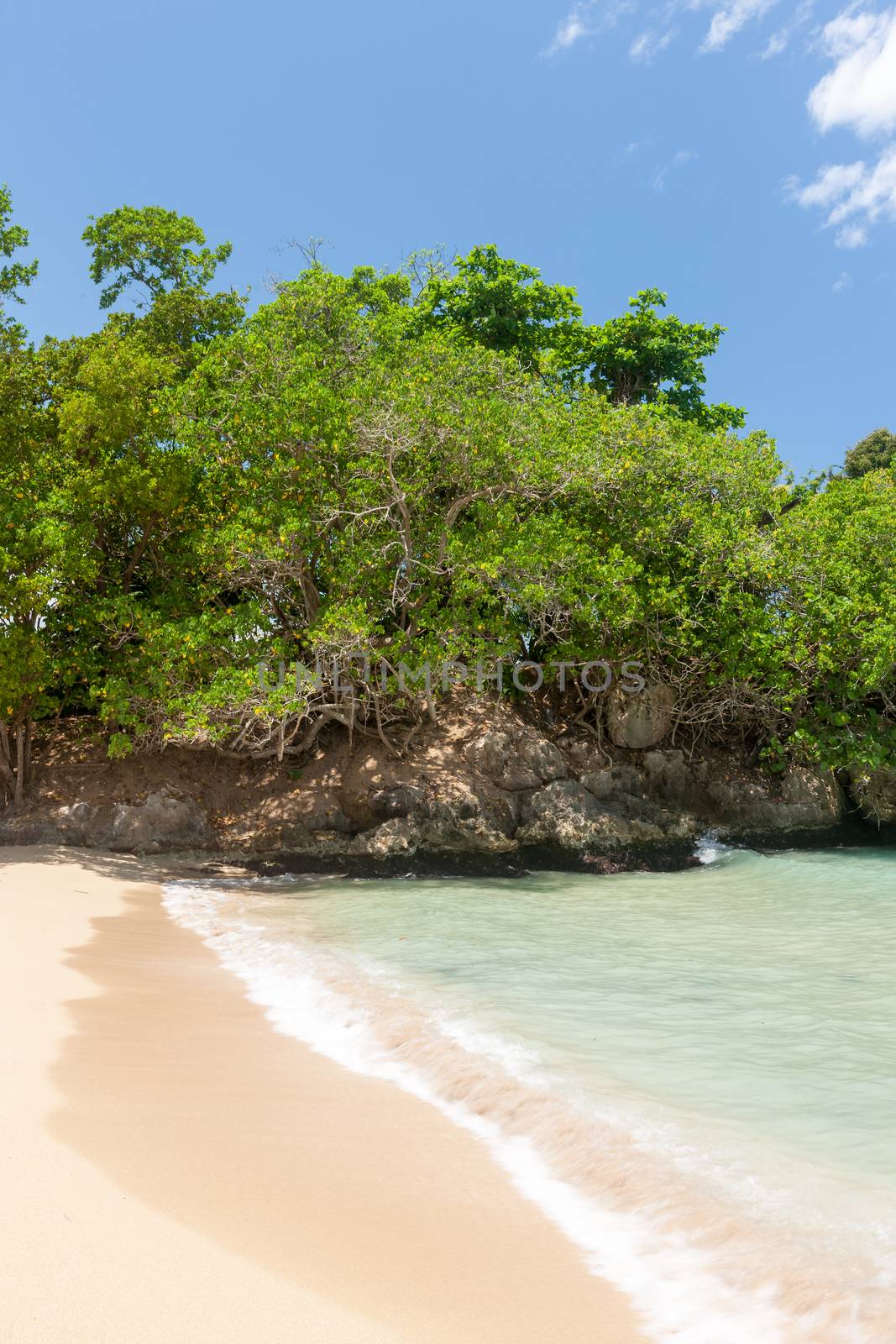 Beach on tropical island. Clear blue water, sand, bush.  by master1305