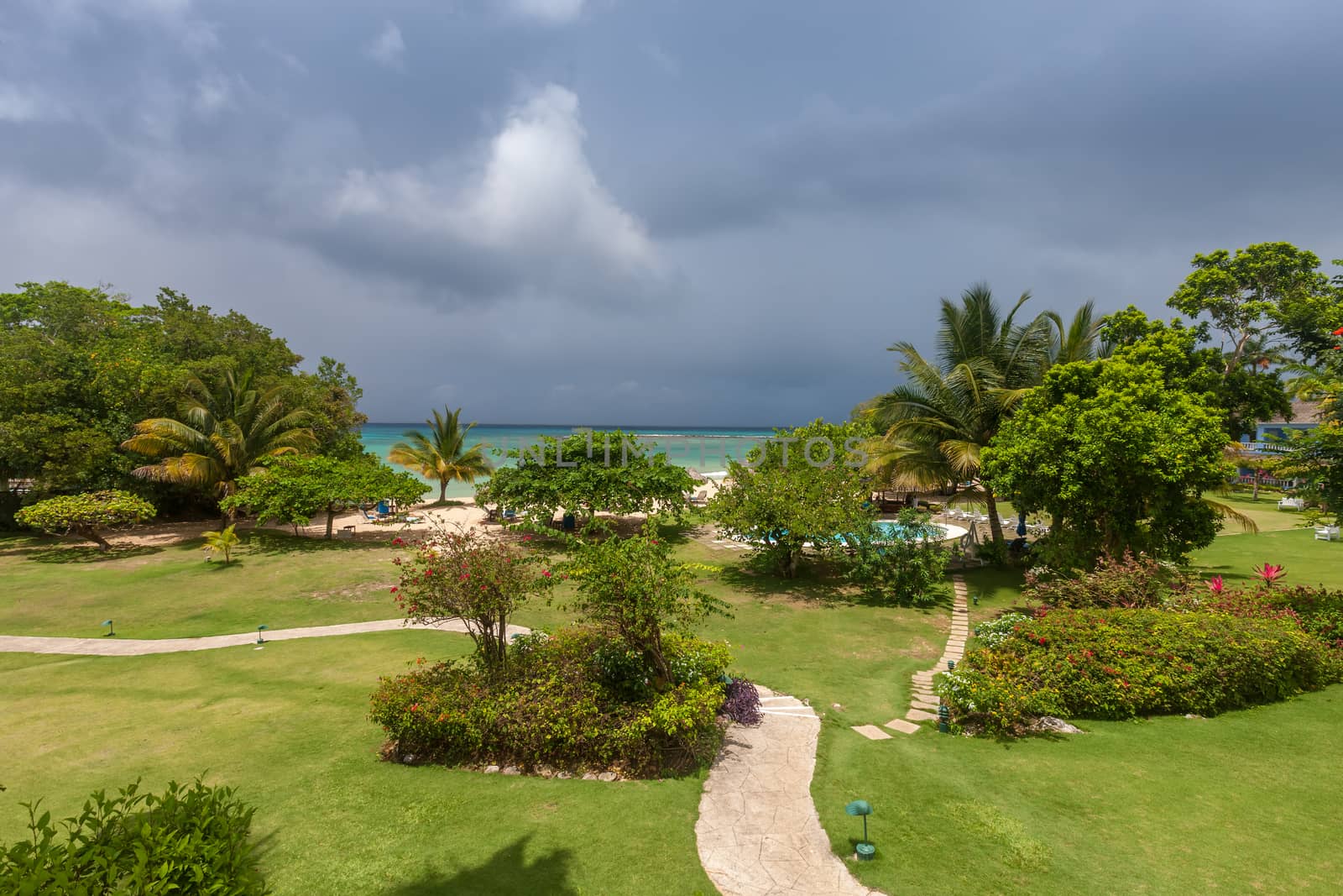 A tropical garden with flowers and palm trees overlooking the ocean with  gray clouds