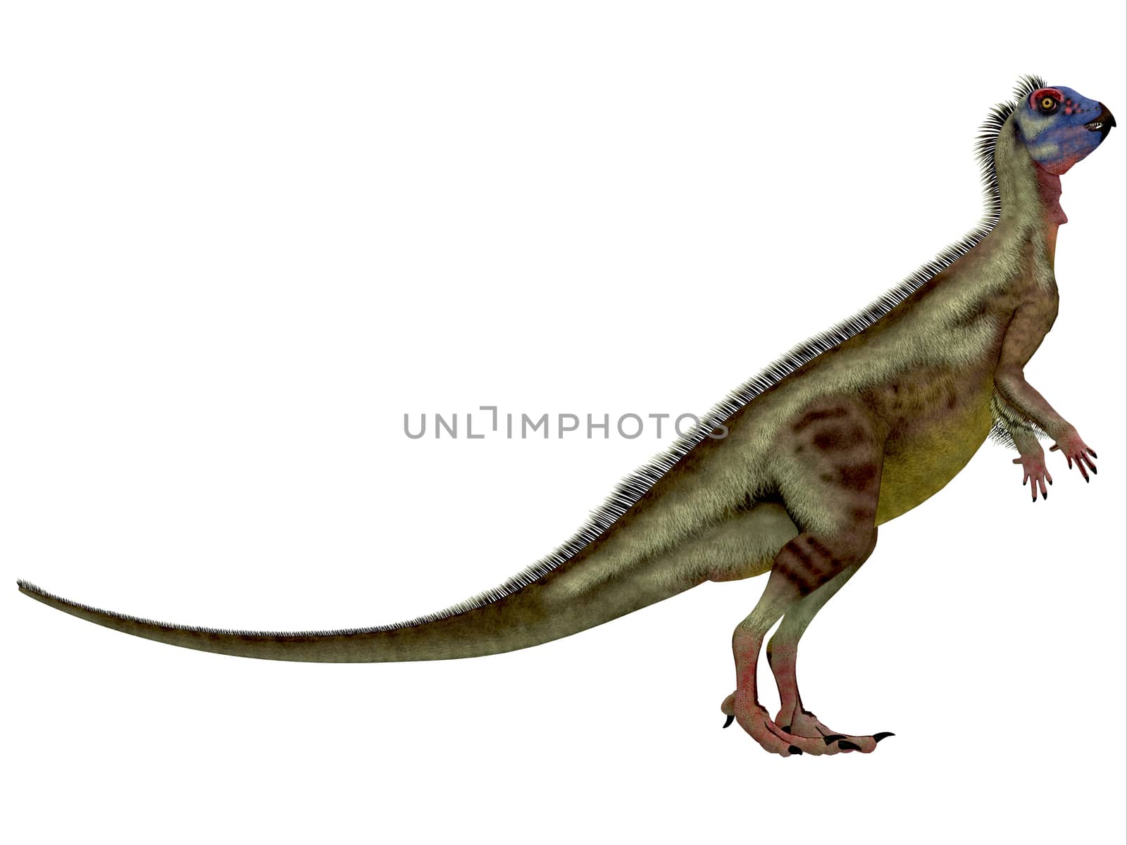 Hypsilophodon was an omnivorous dinosaur that lived in the Cretaceous Period of England.