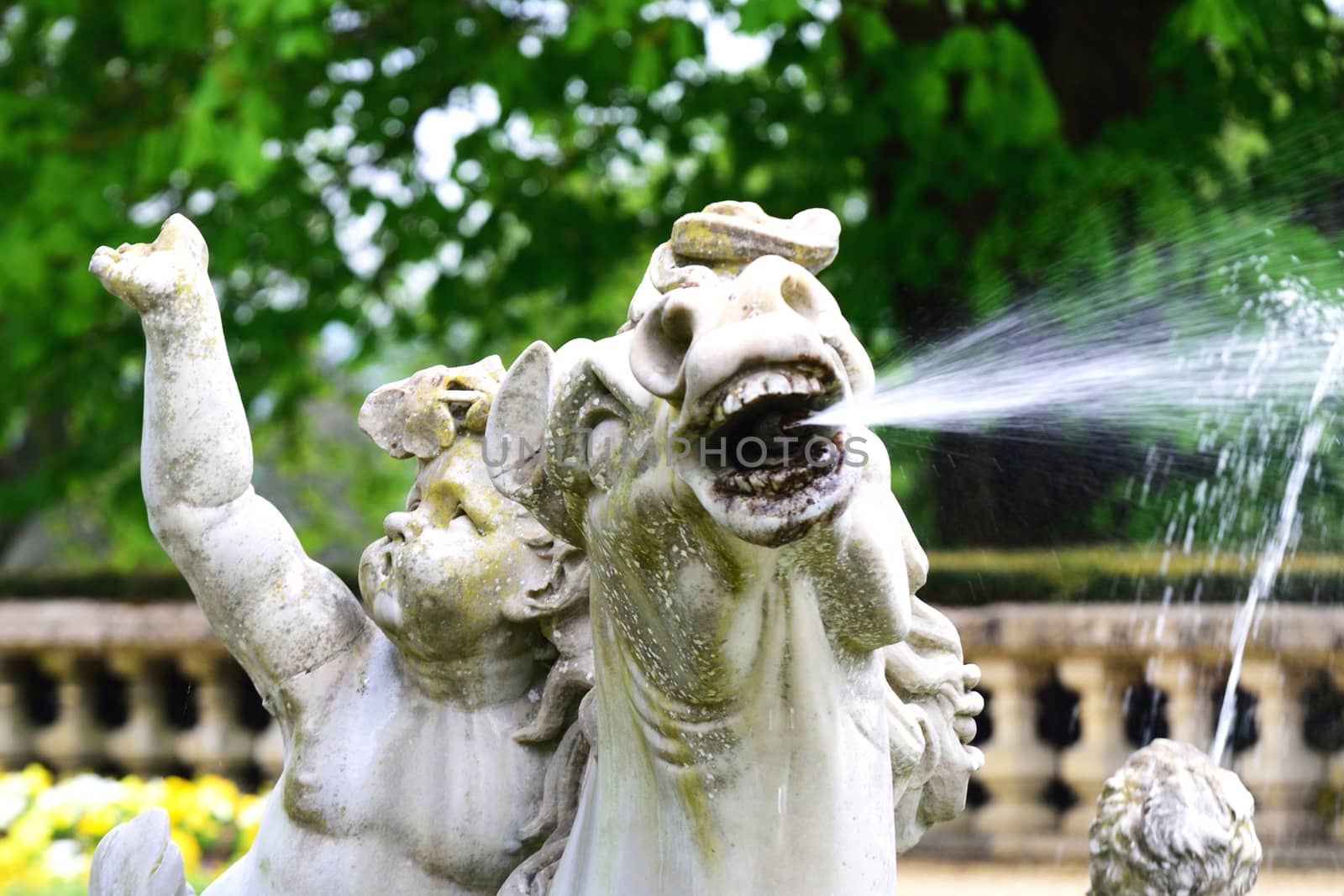 Close up of horse and nymph statue