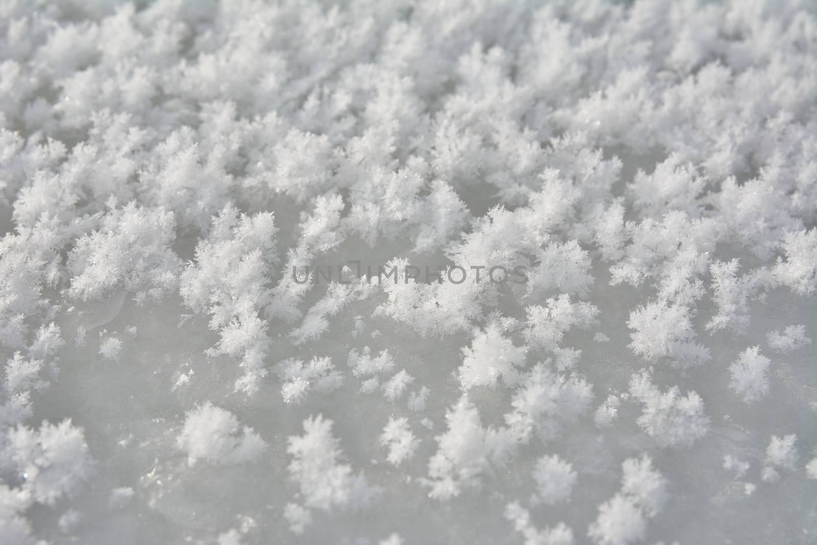 Texture of white snow by comet