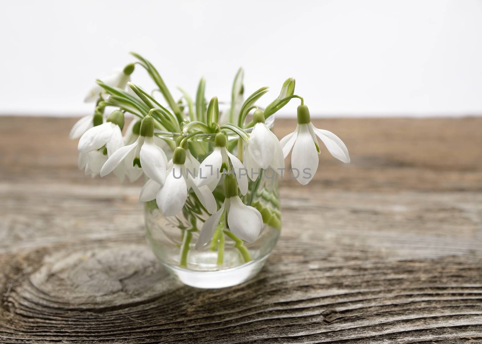 Beautiful snowdrops in vase on wooden table