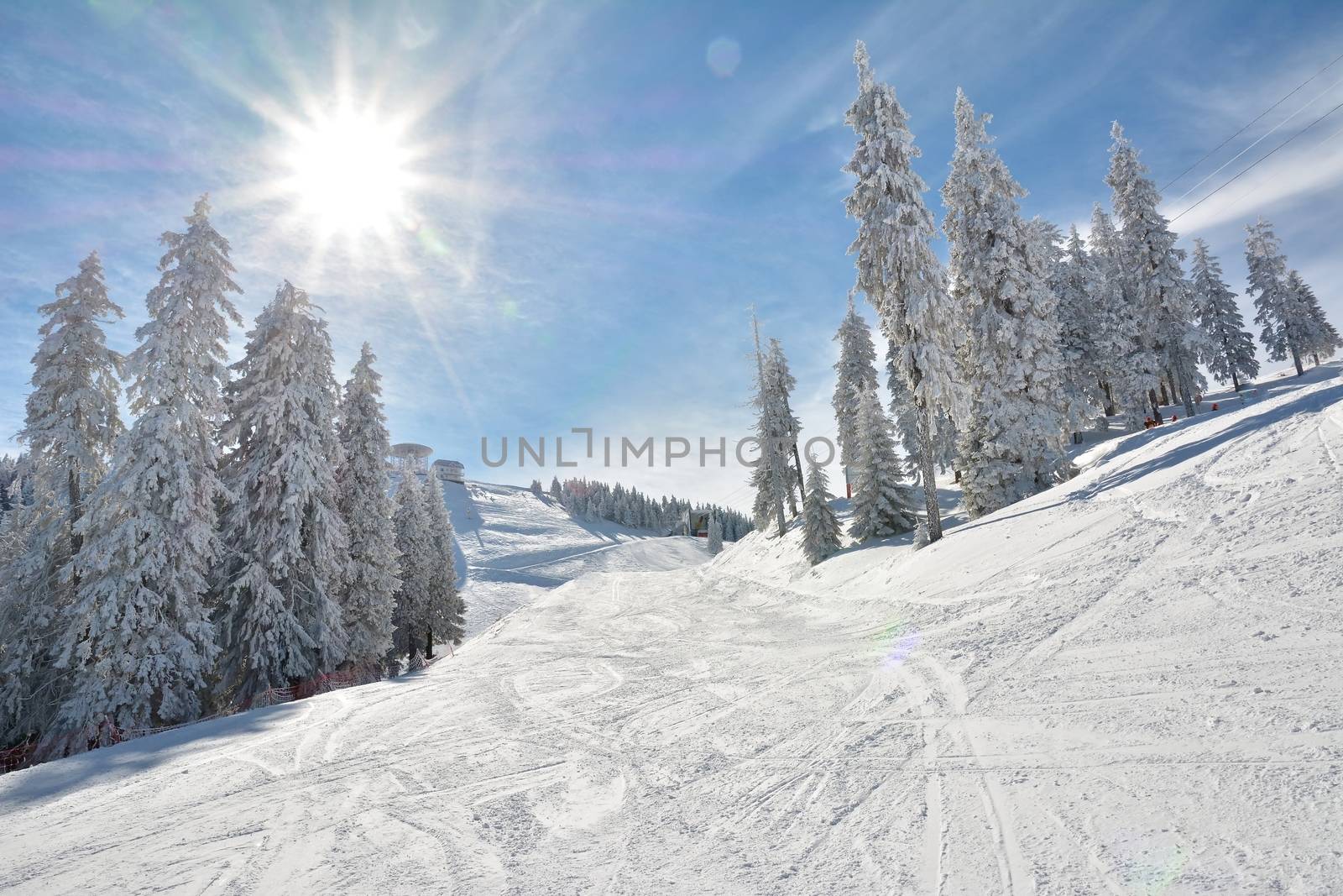 Ski slope and snow covered trees by comet