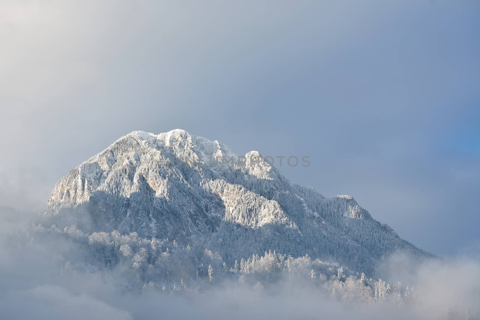 Winter in the mountains by comet