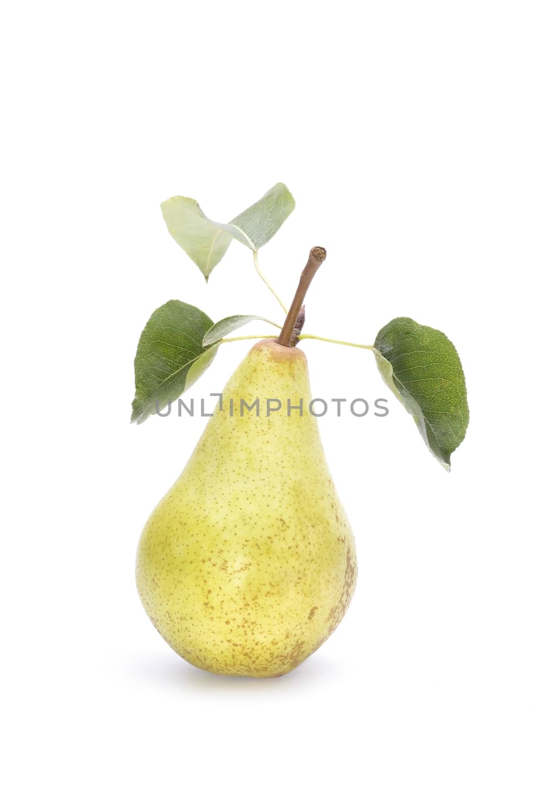 Fresh yellow pears isolated on white background by comet