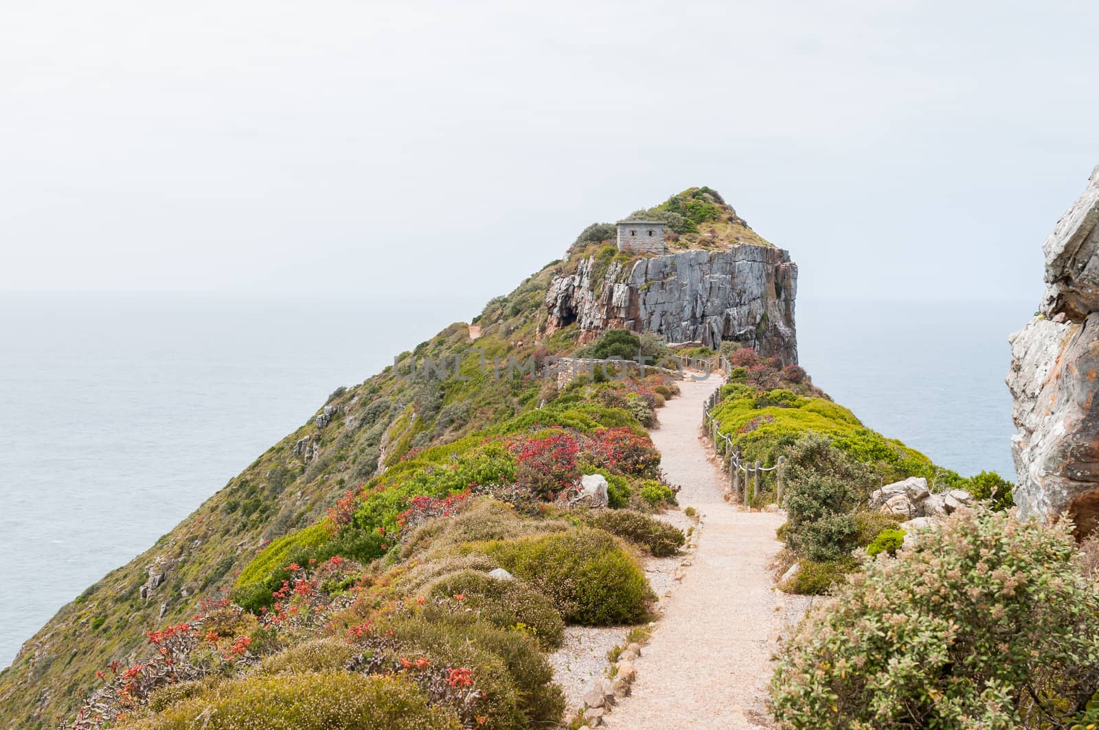 Trail to the viewpoint above the new lighthouse at Dias Point in Cape Point in the Table Mountain National Park.