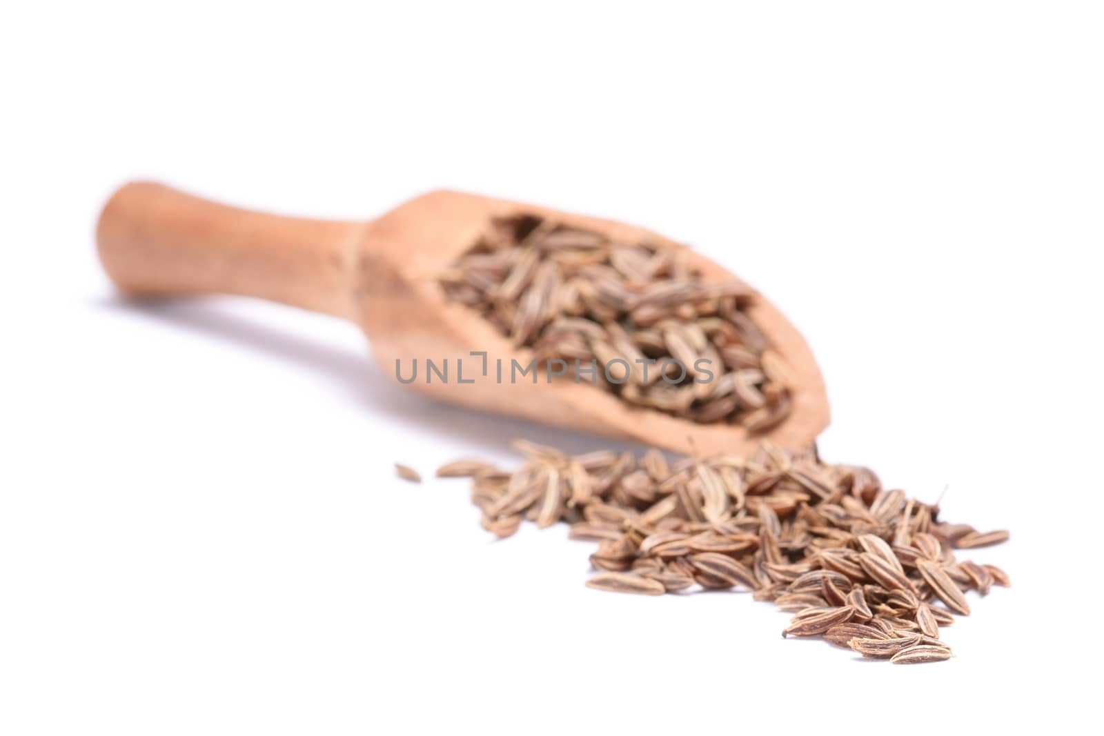 Caraway seed in an olive wood scoop and scattered isolated on white background. by comet