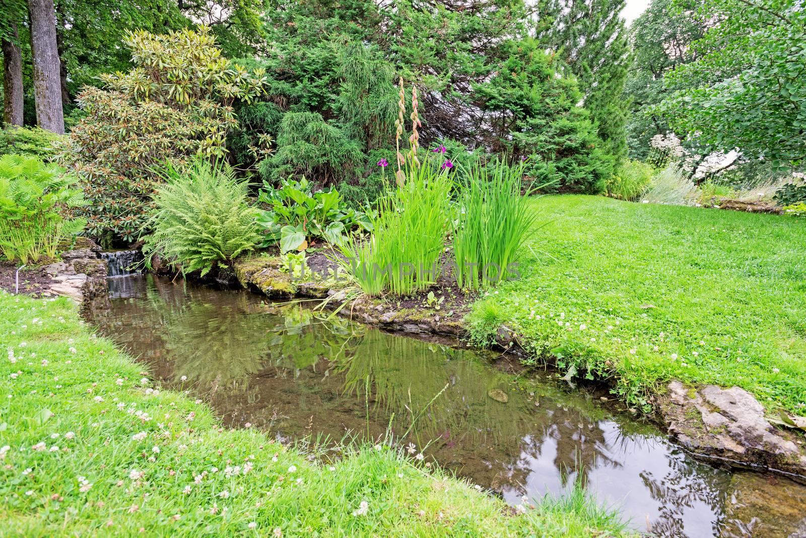 Stream in a garden