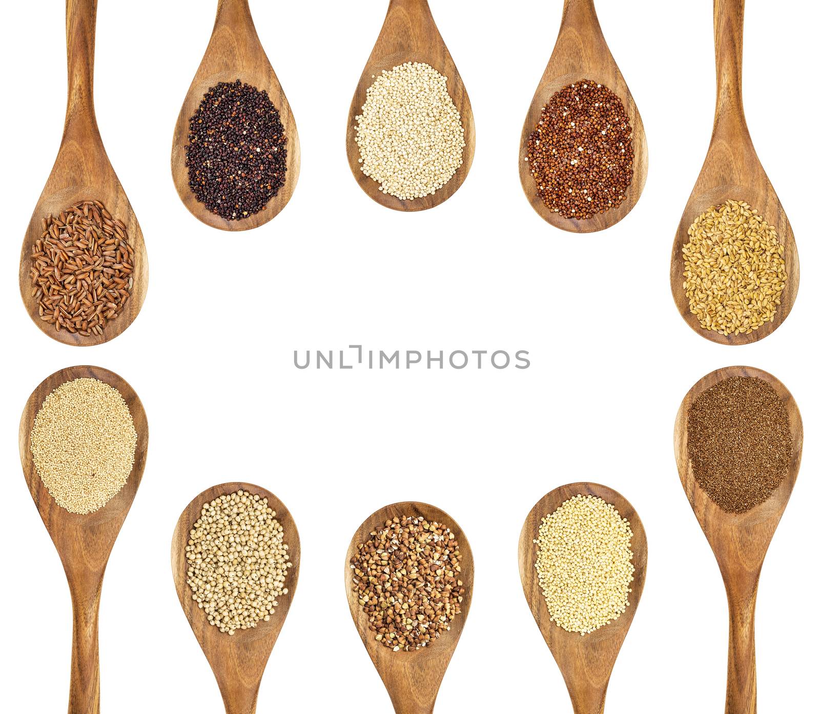 a variety of gluten free grains and seeds (buckwheat, amaranth, brown rice, millet, sorghum, teff, black, red and white quinoa, golden fax on wooden spoons isolated on white with a copy space