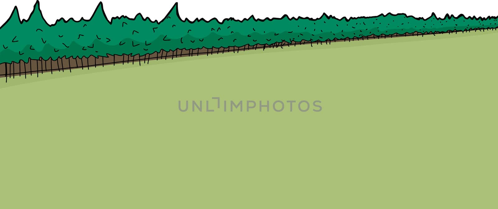 Field with pine tree forest over white background