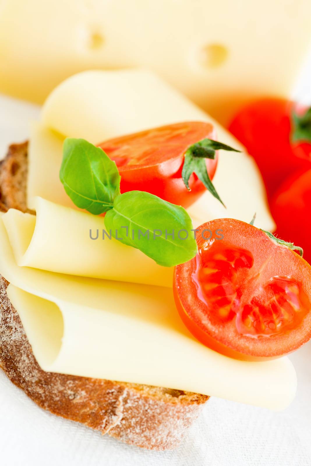 Cheese sandwich with fresh tomato and basil macro by Nanisimova