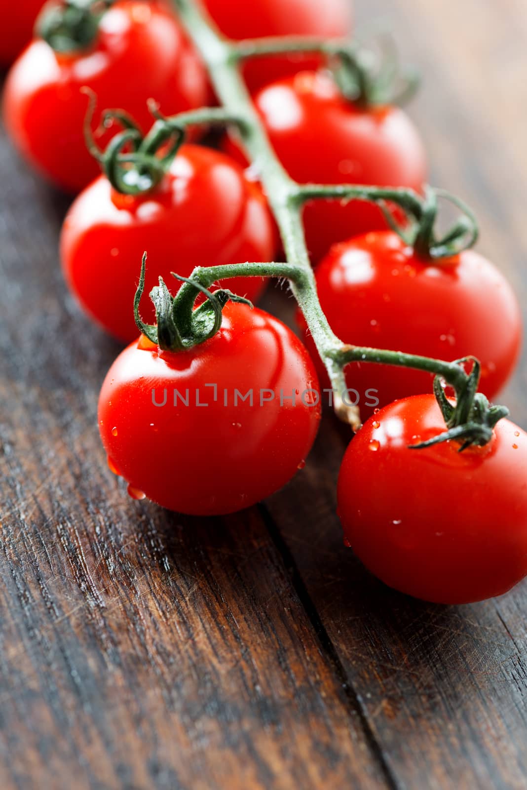 Tomatoes on vein vertical by Nanisimova