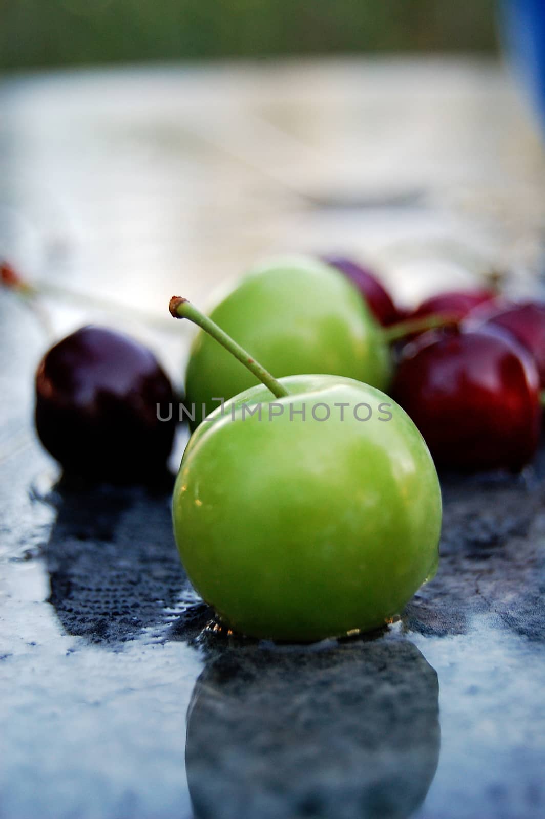 Picture of a Green Plum on a wet surface