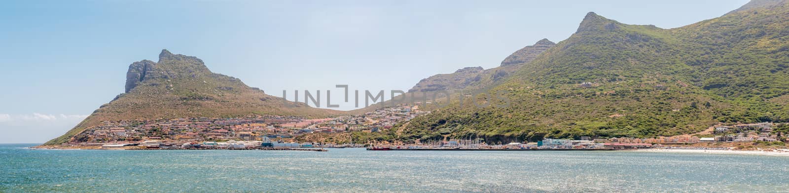 Panorama of Hout Bay seen from the bronze leopard  sculpture  by dpreezg