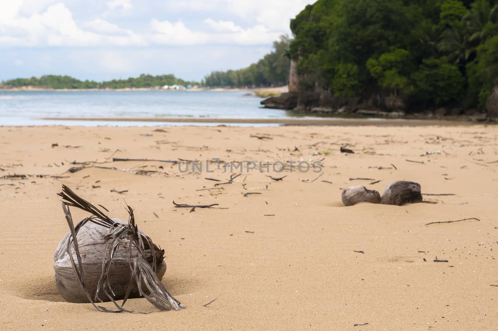 Desiccated Coconut on Beach with seascape background