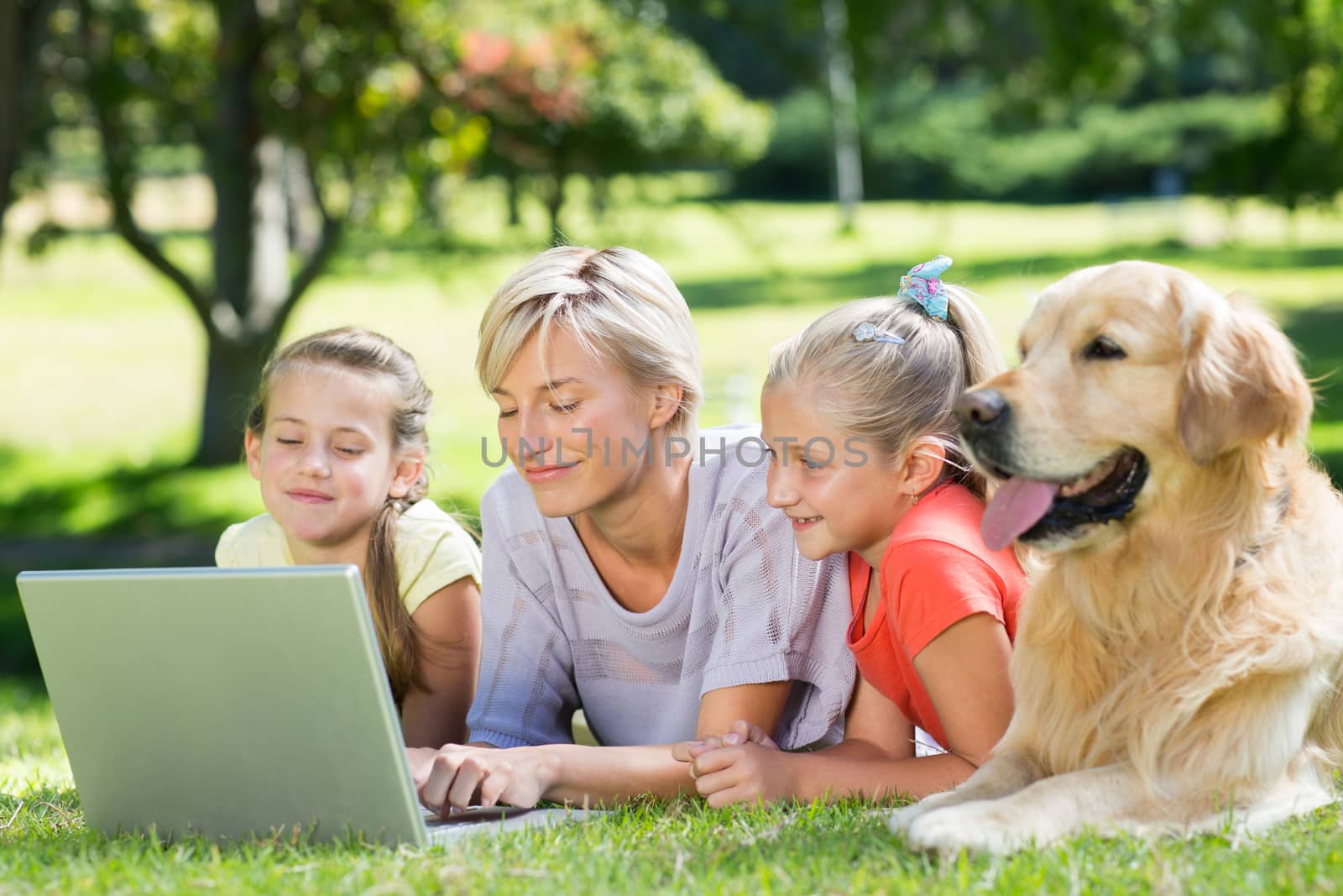 Happy family using laptop in the park  by Wavebreakmedia