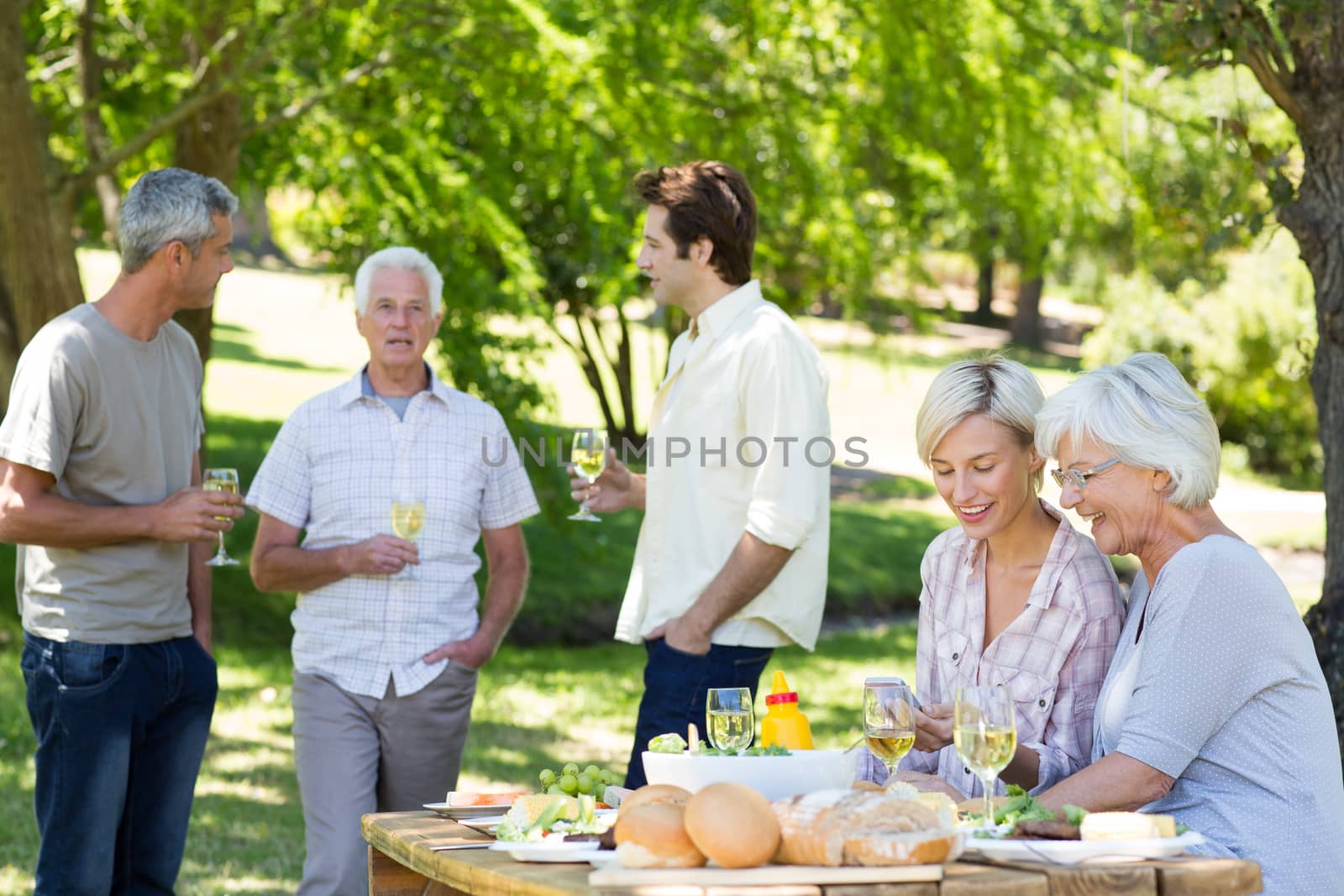 Happy family having picnic in the park  by Wavebreakmedia