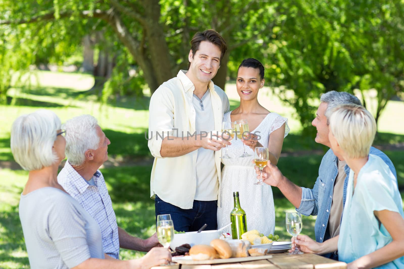 Happy couple toasting with their family  by Wavebreakmedia