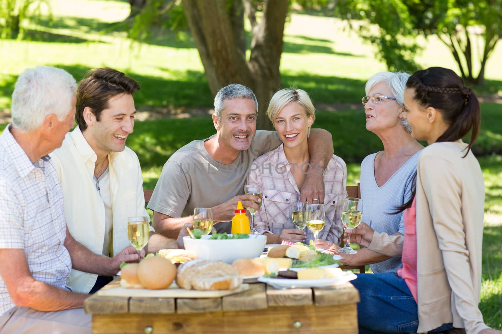 Happy family having picnic in the park on a sunny day