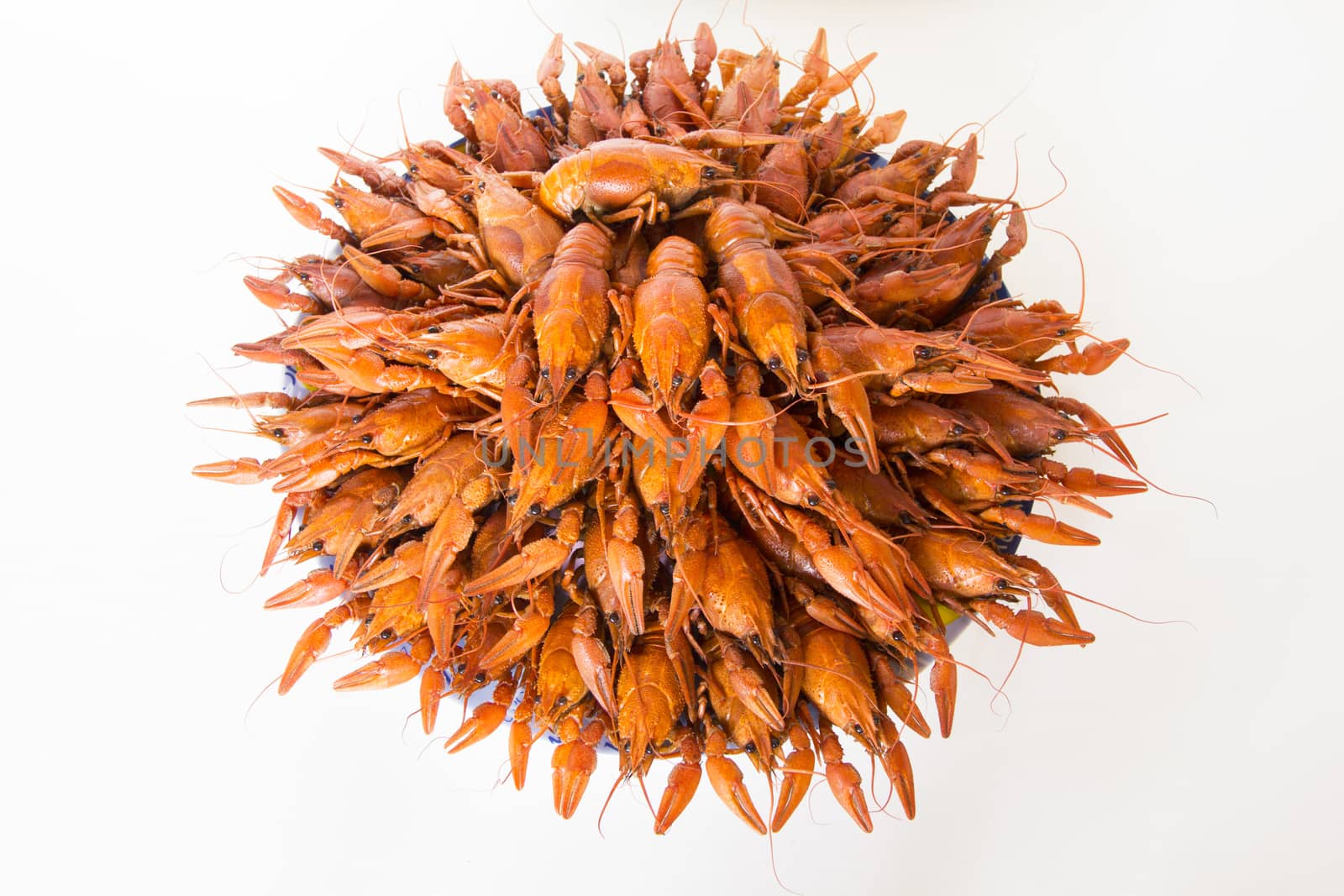 Photo of red boiled crawfishes on the dish
