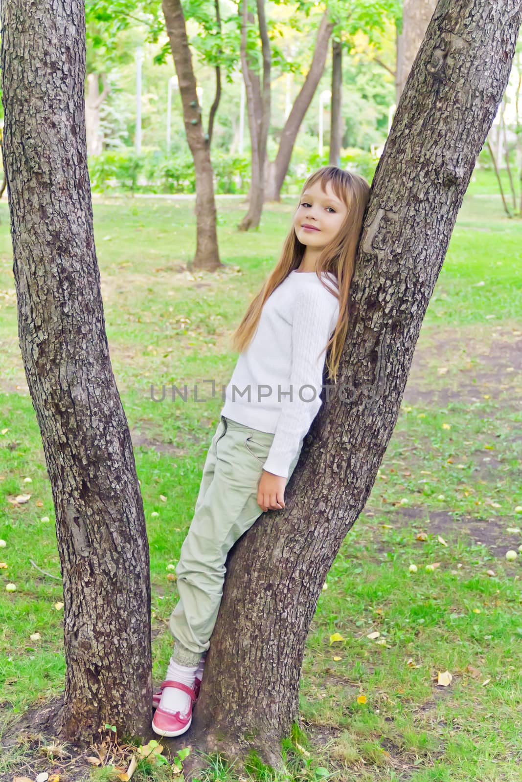 Photo of cute girl in summer sit on tree